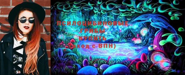 винт Белокуриха