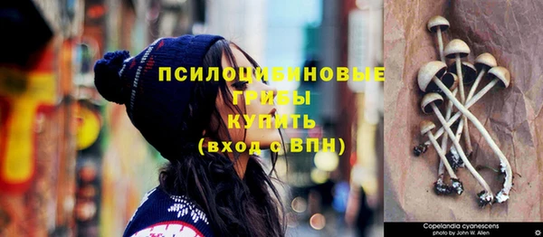 винт Белокуриха